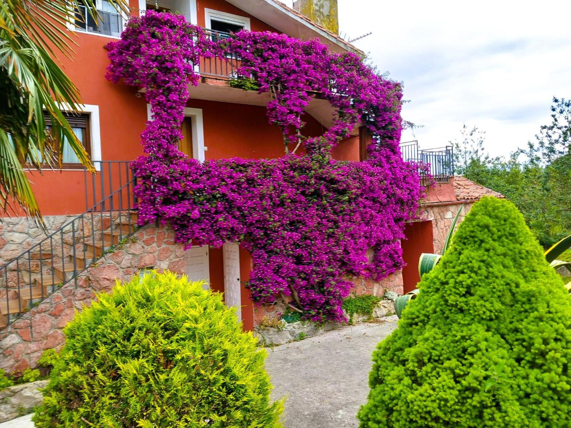 Apartamentos Mariaje Барро-де-Льянес Экстерьер фото